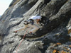 bhutan rock climbing club